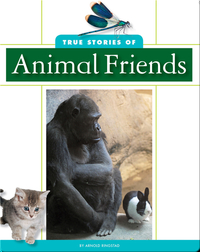 True Stories of Animal Friends