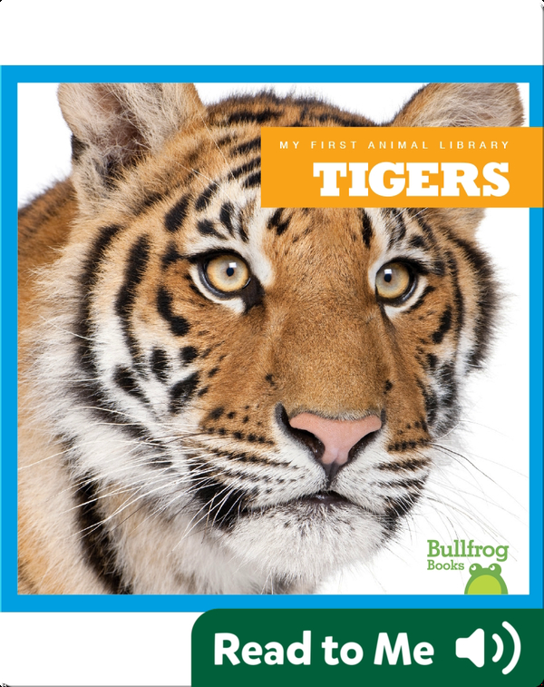 My First Animal Library Tiger Children's Book by Cari Meister