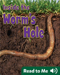 Inside the Worm’s Hole
