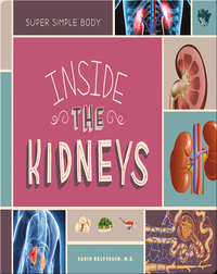 Inside the Kidneys