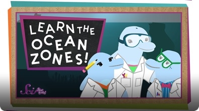 SciShow Kids: Let's Learn the Ocean Zones!