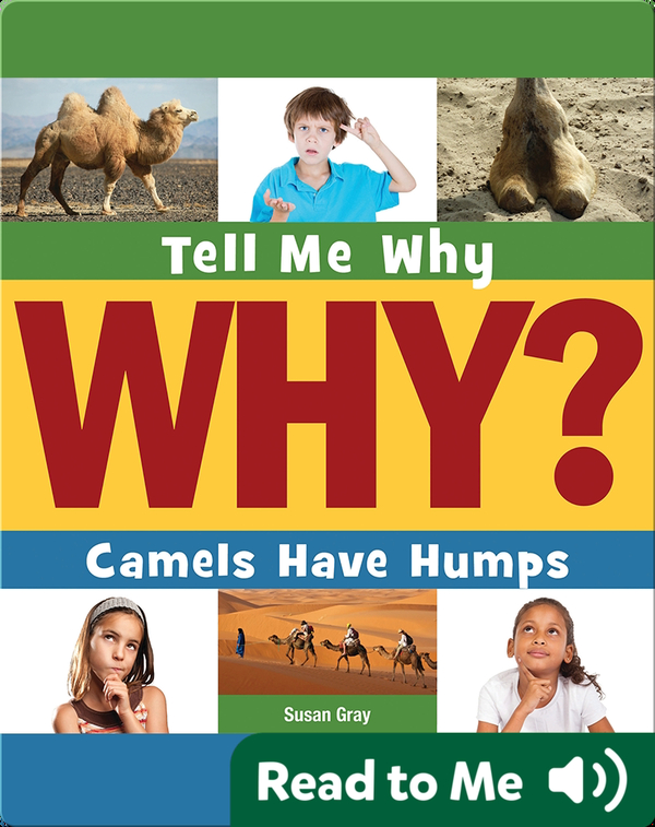 Which camel has got more humps