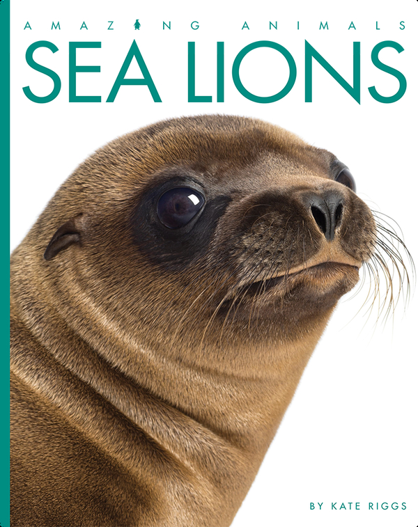 Sea Lions Children's Book by Kate Riggs Discover Children's Books