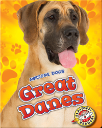 Awesome Dogs: Great Danes