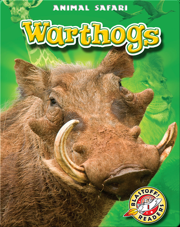 Warthogs: Animal Safari