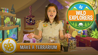 How to Make a Terrarium
