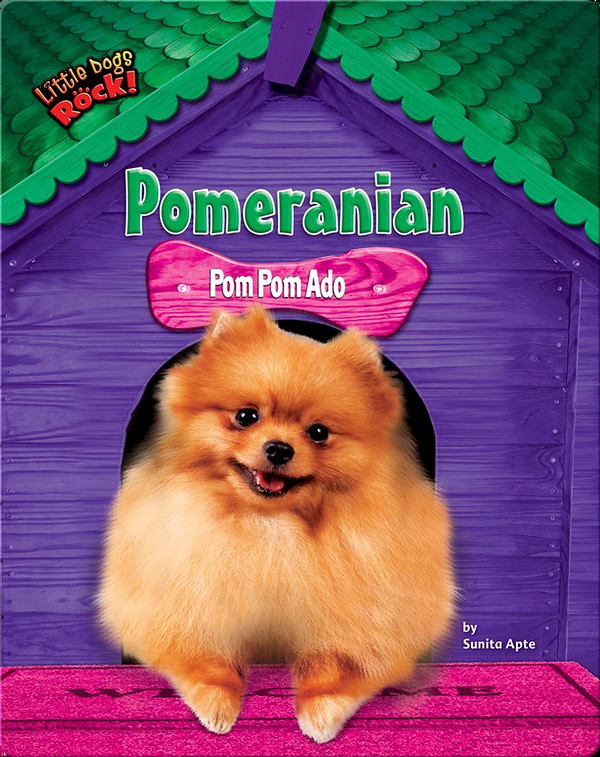Pomeranian: Pom Pom Ado