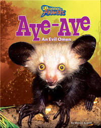 Aye Aye: An Evil Omen