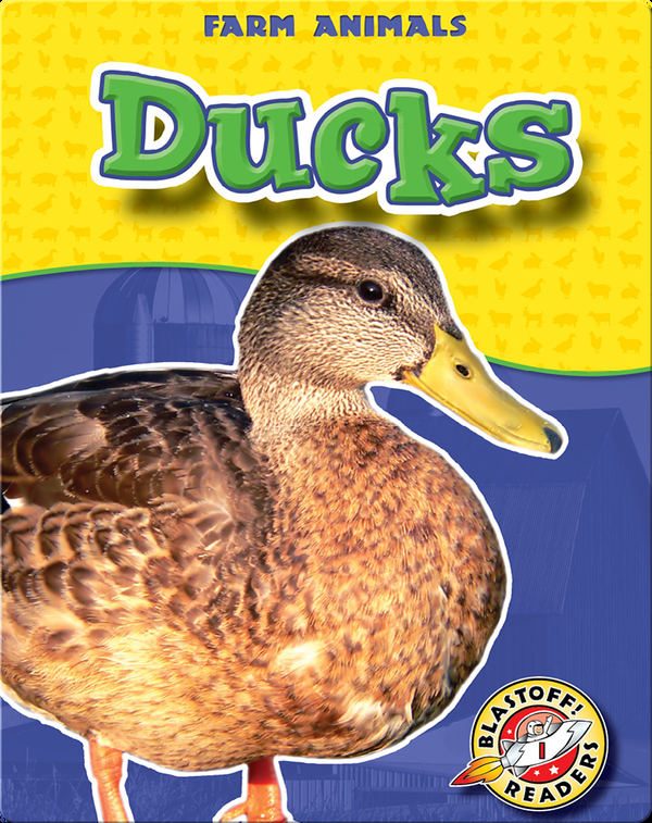 Ducks Children's Book by Hollie Endres | Discover Children's Books