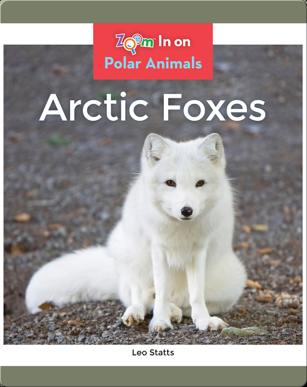 Arctic Foxes Children's Book by Leo Statts Discover Children's Books