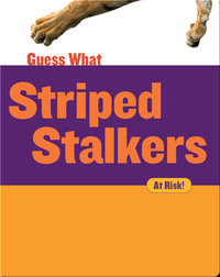 Striped Stalkers