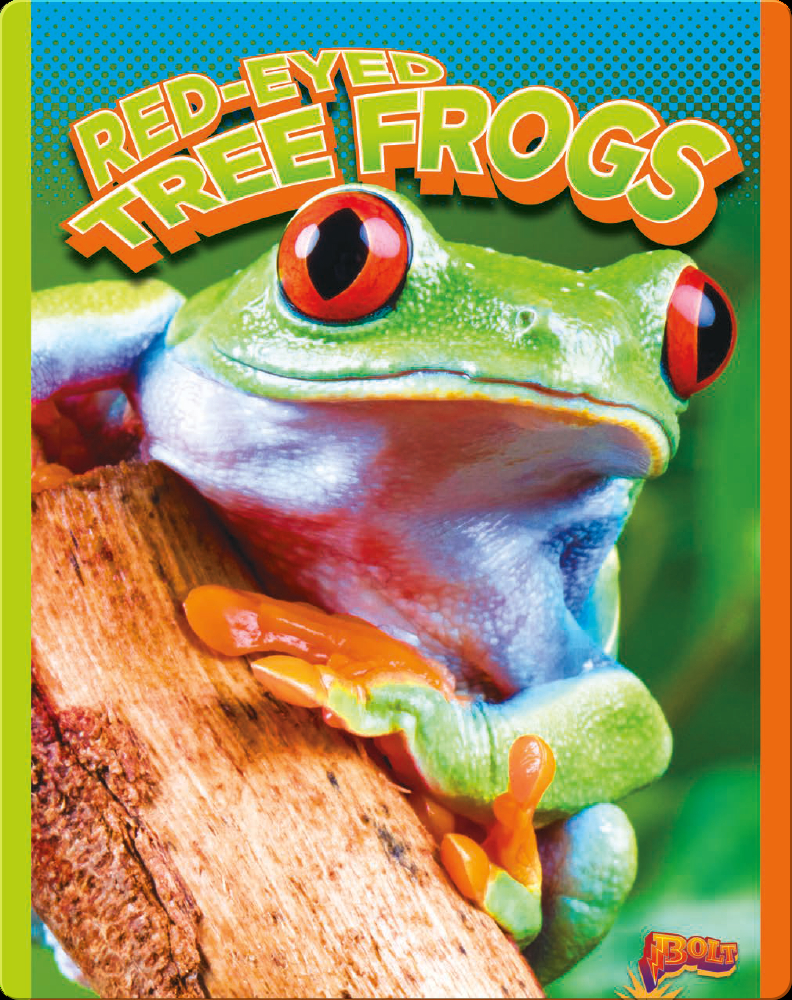 Red-Eyed Tree Frogs Children's Book by Nicki Clausen-Grace | Discover ...