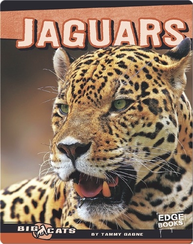 Jaguars Children's Book Collection | Discover Epic Children's Books
