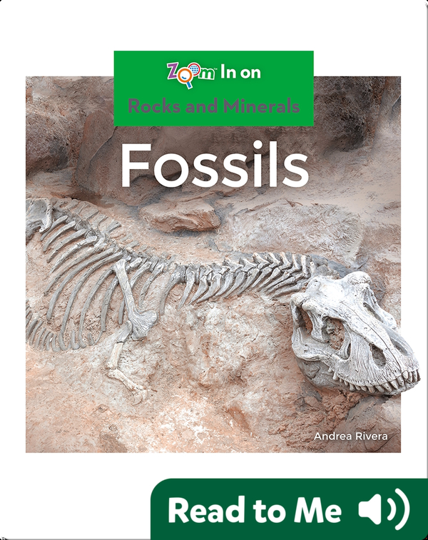 Fossils Children's Book by Andrea Rivera Discover Children's Books