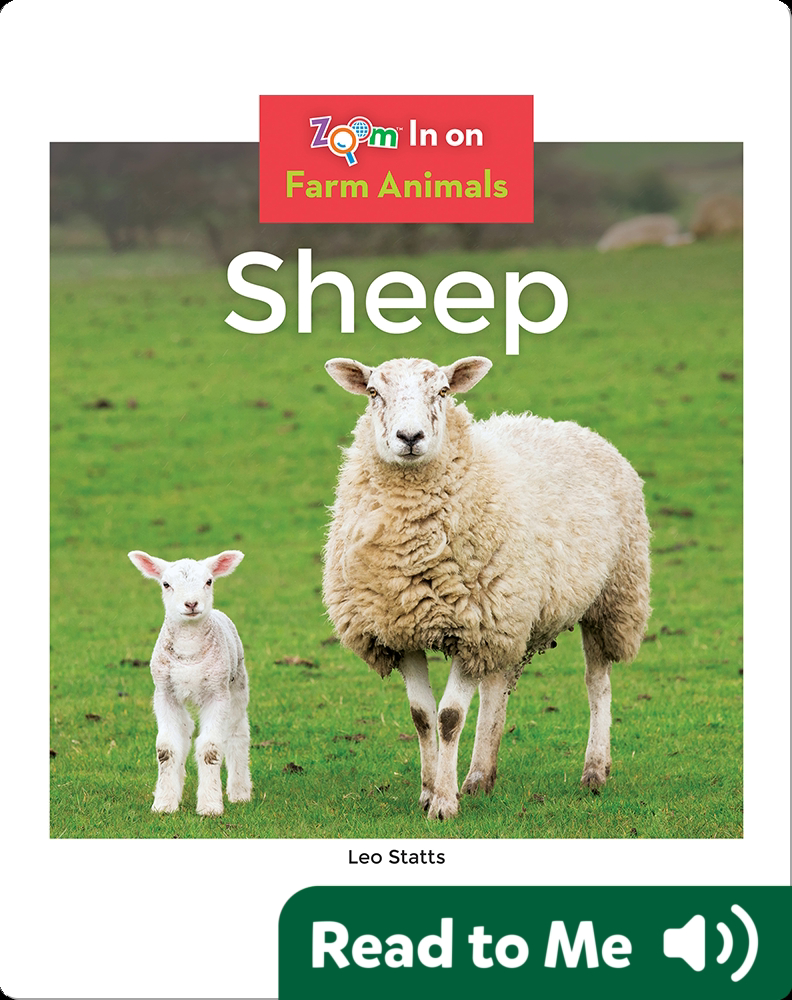 Sheep Children's Book by Leo Statts Discover Children's Books