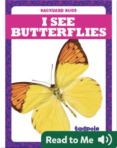 I See Butterflies