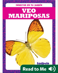 Veo mariposas (I See Butterflies)