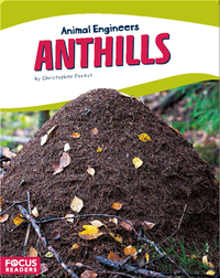 Animal Engineers: Anthills