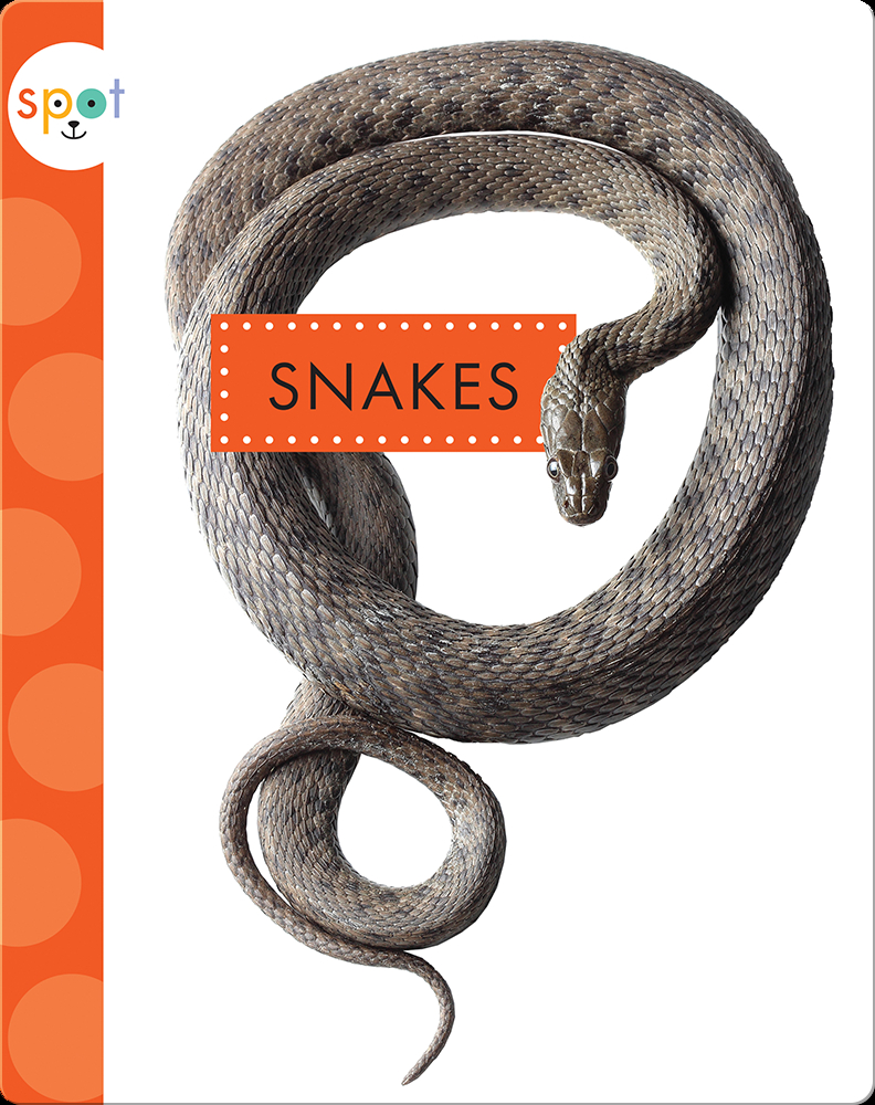 Backyard Animals Snakes Children S Book By Mari Schuh Discover Children S Books Audiobooks Videos More On Epic