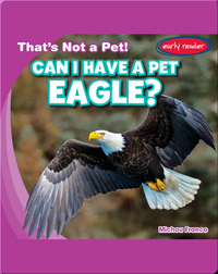 Can I Have a Pet Eagle?
