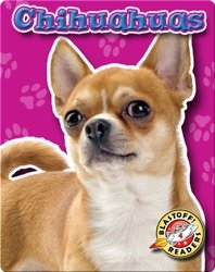 Chihuahuas: Dog Breeds