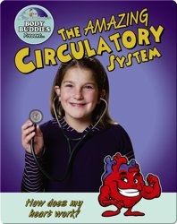 The Amazing Circulatory System
