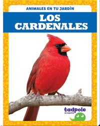 Los cardenales