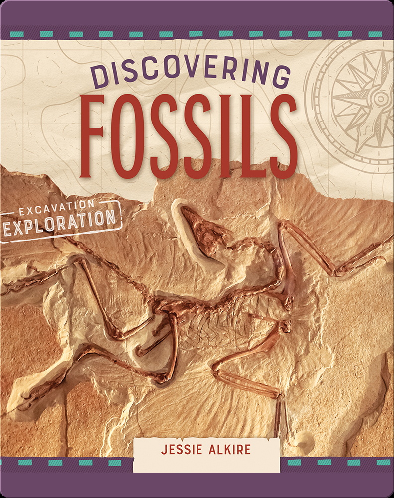 Discovering Fossils Children's Book by Jessie Alkire Discover
