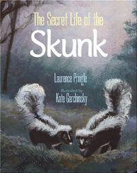 The Secret Life of the Skunk