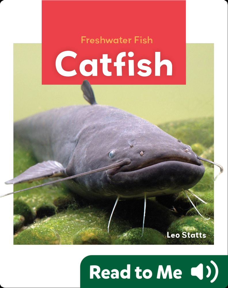 Freshwater Fish Catfish Children's Book by Leo Statts Discover