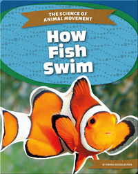 The Science of Animal Movement: How Fish Swim