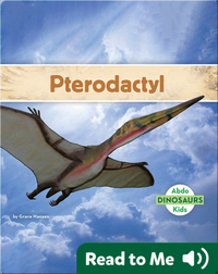 Dinosaurs: Pterodactyl
