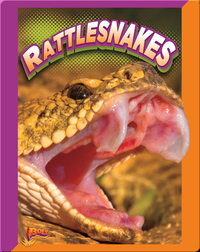 Slithering Snakes: Rattlesnakes