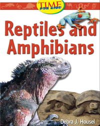 Slithering Reptiles and Amphibians