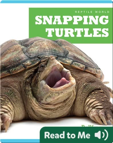 Reptile World: Snapping Turtles