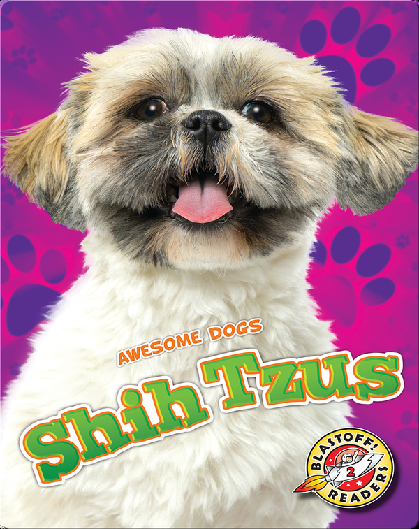 Awesome Dogs: Shih Tzus