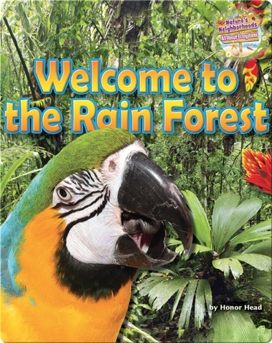 Welcome to the Rain Forest