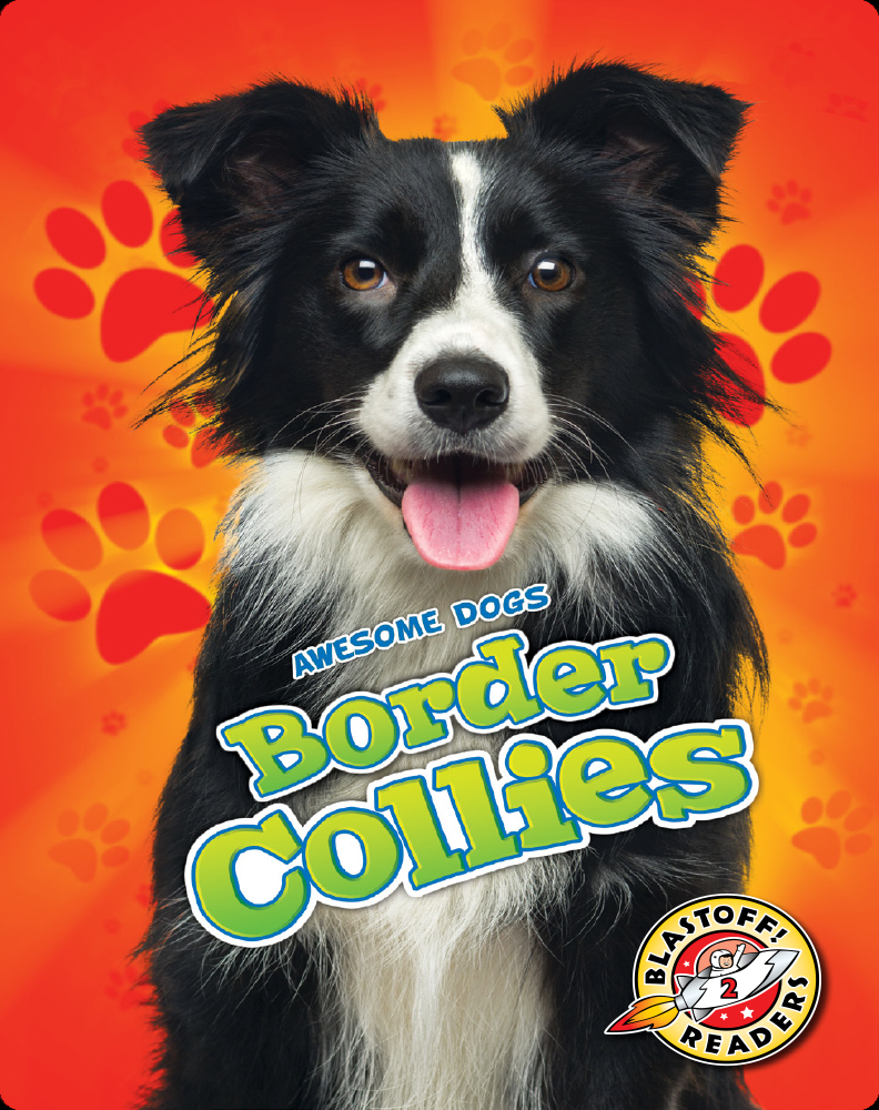 65+ Border Collie Children's Book Image Bleumoonproductions