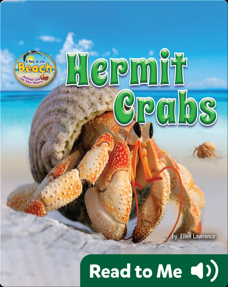 Hermit Crabs Children's Book by Ellen Lawrence Discover Children's