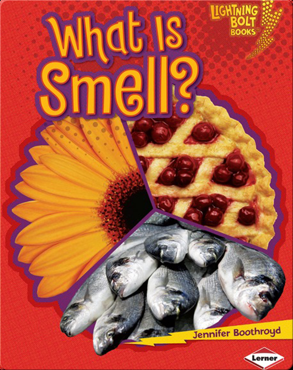 what-is-smell-children-s-book-by-jennifer-boothroyd-discover