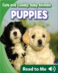 Cute and Cuddly: Puppies