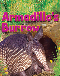 Armadillo's Burrow