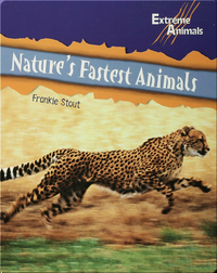Nature’s Fastest Animals