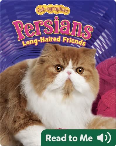 Persians: Long-Haired Friends