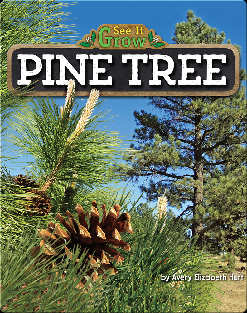 Pine Tree Children's Book by Avery Hurt Discover Children's Books, Audiobooks, Videos & More