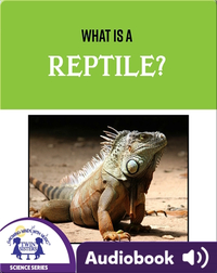 What Is A Reptile?