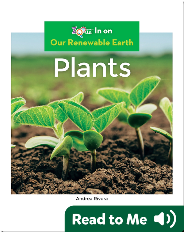Plants Children's Book by Andrea Rivera Discover Children's Books