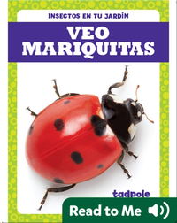 Veo mariquitas (I See Ladybugs)