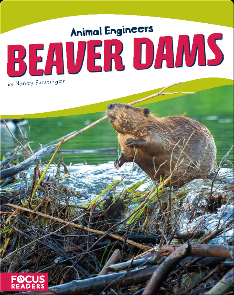 Animal Engineers Beaver Dams Children's Book by Nancy Furstinger