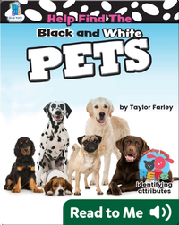 Help Find the Black and White Pets